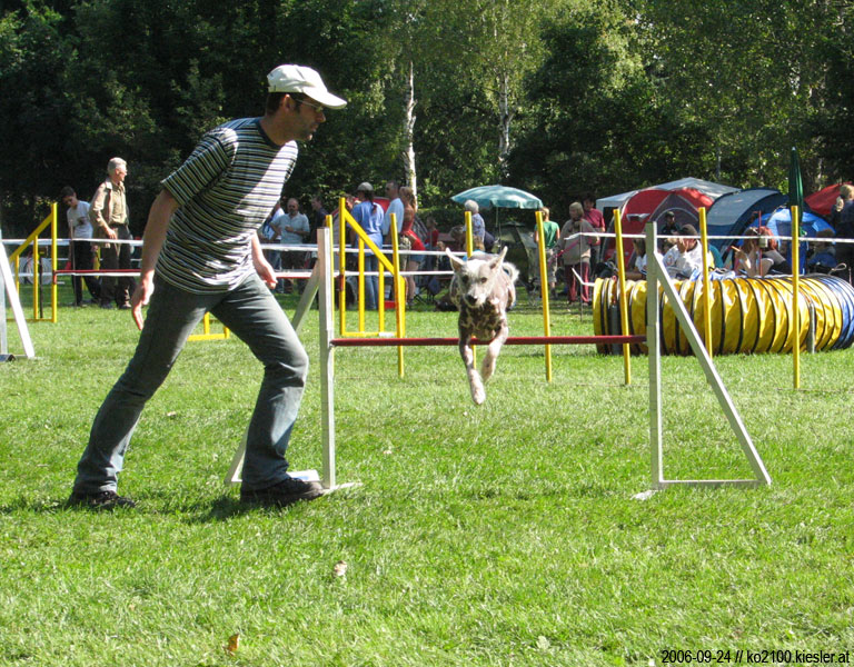 jumping 4
