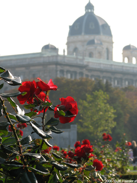 Roses