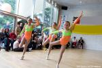 Fallnbgl / Sommer-Lolei / Wriesnig